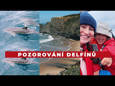 VLOG | Pozorování delfínů, skatepark a výlety na pláž!