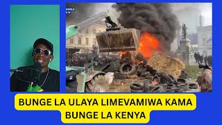 BUNGE LA ULAYA LIMEVAMIWA KAMA BUNGE LA KENYA