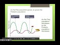 Predator-Prey Relationships and Concepts