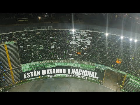 Están matando a Nacional - Los Del Sur