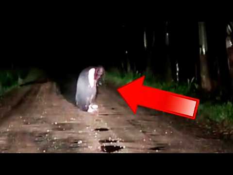 5 Videos de TERROR REAL que NO Podrás DORMIR | Fantasmas Captados en Cámara 2024