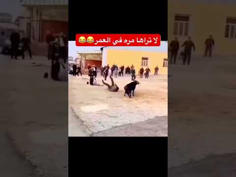 لاتنسون الاشتراك بالقناة ولايك فديتكم يااحلى متابعي🌹❤️🔔