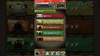 パスドラ 百花繚乱2をやりました。 ※声無し
