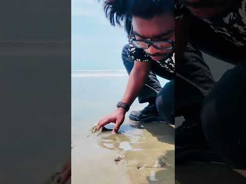 কি পেলাম সমুদ্রে🤯 #tushar_emran