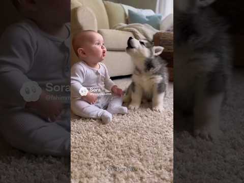 Cutest Baby–Puppy “Awoo” Talk Ever Caught on Camera 👶🐶💖