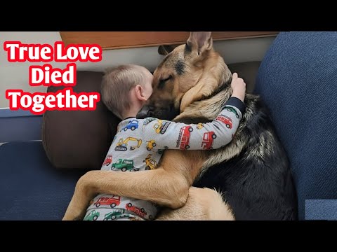 Toddler & His Dog Died Hugging—When They Were Pulled Apart, Something Shocking Happened