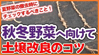 秋冬野菜に備える！夏野菜収穫時に見逃せない症状と土壌改善のコツを徹底解説！【農園ライフ】