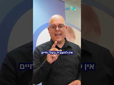 כלב משוטט? חיית בר פצועה - מדווחים. לא אוספים
