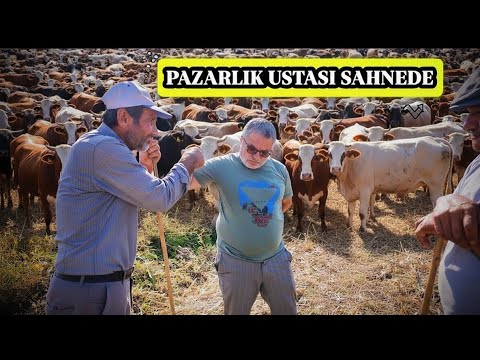 125.000 TL’ye Yayladan Erkek Danalı İnek Aldık! Pazarlık Nefes Kesti 💸🐂