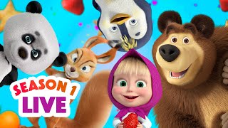 🔴 LIVE STREAM 🎬 Masha and the Bear 👧🐻 Season 1: All episodes 🏡🪴