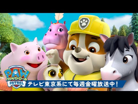 パウ・パトロール | パウ・パトロール：ラブルと仲間のどうぶつレスキュー！| 60分 | テレビ東京系にて放送中