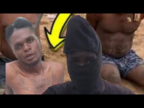 Nou Wè Travay Bandi Viv Ansanm Yo