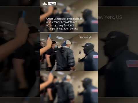 Democratic politician detained by ICE