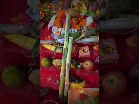Chhath Puja Song Status #chhathpuja #chhath #trending