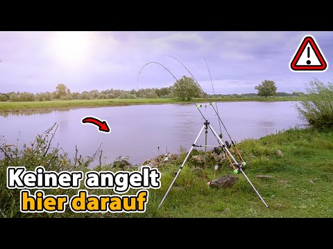 Was lebt in der stärksten Fluss-Strömung? (Unberührte Fische beißen im Sekundentakt)
