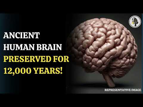 12,000-Year-Old Human Brains Defy Decomposition. | WION Podcast