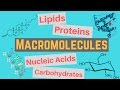 Exploring Macromolecules: Classes and Functions
