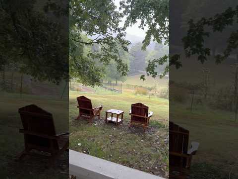 That’s rain! After weeks of drought! #garden #rainsounds