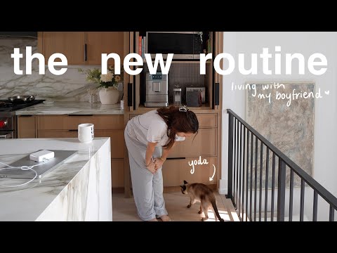my new routine... (living with a man + a cat)