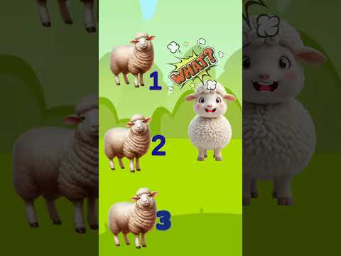 where are the zombies #vocal #unicorn #eurovision #singer #live #cartoon #tocaadventure