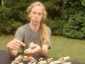 Snake Anatomy and Feeding Mechanisms