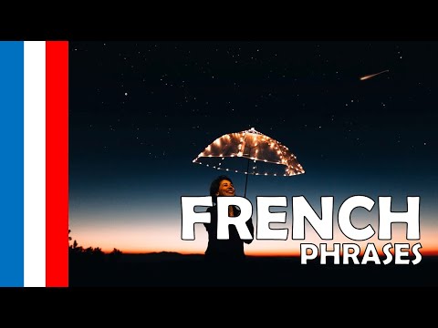 Your Daily 30 Minutes Of French Phrases 192 LaptrinhX News