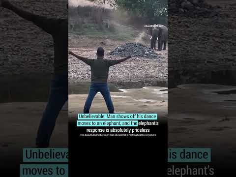 The Dance Across the River: Elephant and Man’s Monsoon Bond❤️