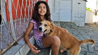 ENROLEI MEU CACHORRO!- SUBSCRIBE MY DOG!