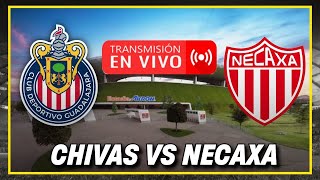 🚨Chivas vs Necaxa EN VIVO desde el Estadio Akron