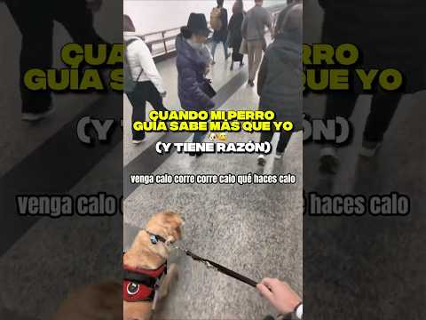 Cuando mi PERRO GUÍA sabe más que yo y tiene razón 🦯🐶😅