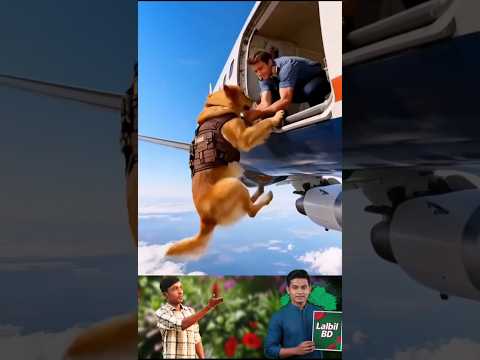 মানুষ আর পশুপাখির কাহিনী।।(পর্ব ৪৬) || Stories of people and animals