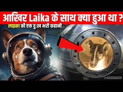 रूस का 'सुसाइड' स्पेस मिशन ! आखिर Laika के साथ क्या हुआ था The Sad Story of Laika First Dog in Space