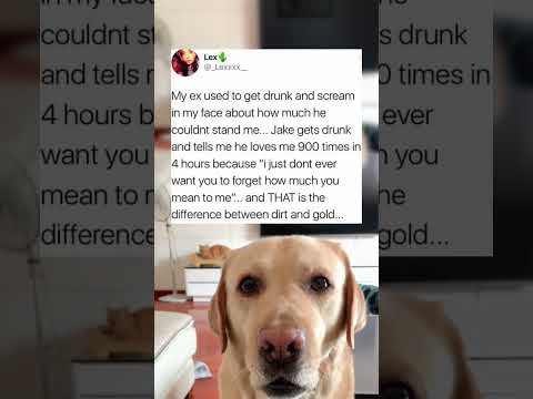 #memes #story #dog #shorts #pets