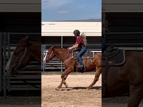 Having fun cruising with May! 🥰 #mustanghorse #equestrian #mhmayflower #horsegirl