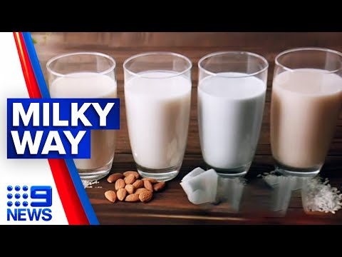 Most nutritional plant-based milks rated | 9 News Australia