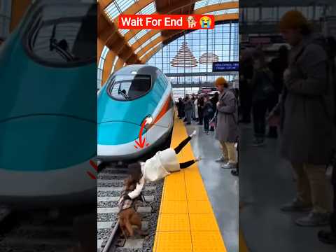“A Dog Was Trapped on Tracks… She Took a Risk and Jumped to Save It!”❤️🐕#dog #shorts #train #fyp