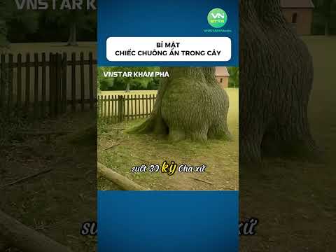 Bí mật chiếc chuông ẩn trong cây #shorts #khampha