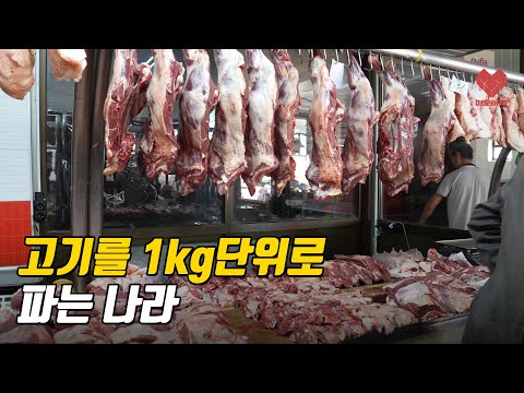 [구독자 이벤트] 키르기스스탄에 가고 싶은 분? 【키르기스스탄 ep.2】