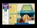 Understanding Themes and Summarization Techniques