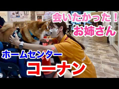 リベンジ！コーナン お姉さん会いたかった！
