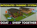 Integrated Goat and Sheep Farming Concepts