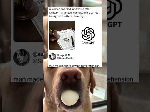 #memes #story #dog #shorts #pets