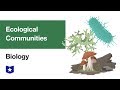 Ecological Communities and Succession Concepts