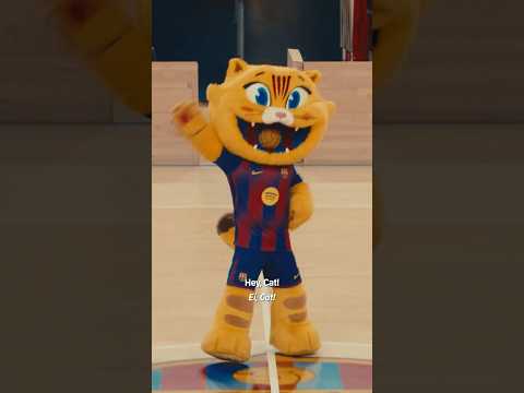 CAT is in birthday mode 🎂 😻 #shorts #fcbarcelona #shortvideo