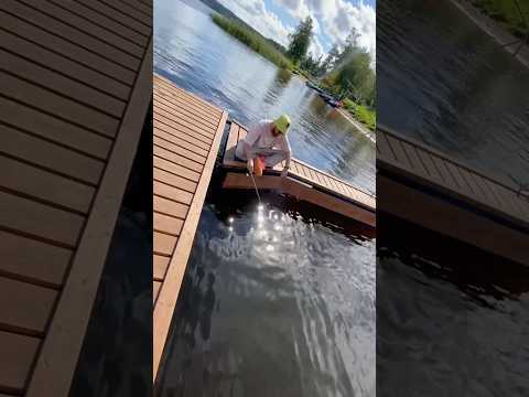 КАК ДОЛГО МОЖНО ЖДАТЬ⁉️🦊❤️ #дошик #лиса #go #collab #рек #тренд #тренды #полетели #миллион #рыбалка