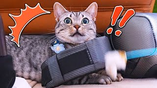 動画サムネイル