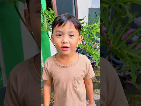 Genta Senja Omang ketemu burung mati ๐ฅบ #wiangfamily