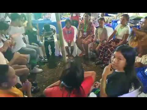 family Baulos palaro