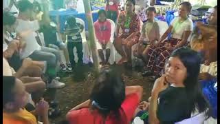 family Baulos palaro
