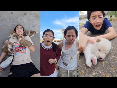 Very Funny Shorts‼️😆 HaHaaa🥰  | JJaiPan Shorts Compilation #shorts